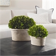 Uttermost 2-Piece Ceramic Oval Dome Preserved Boxwood Set in Mossy Green