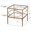 Uttermost Genell Contemporary Metal and Glass Cube Table in Gold/Clear