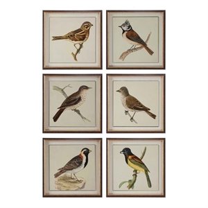 uttermost spring soldiers bird prints (set of 6)