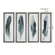Uttermost Feathered Beauty Contemporary Fir Wood Prints - Multi-Color (Set of 4)