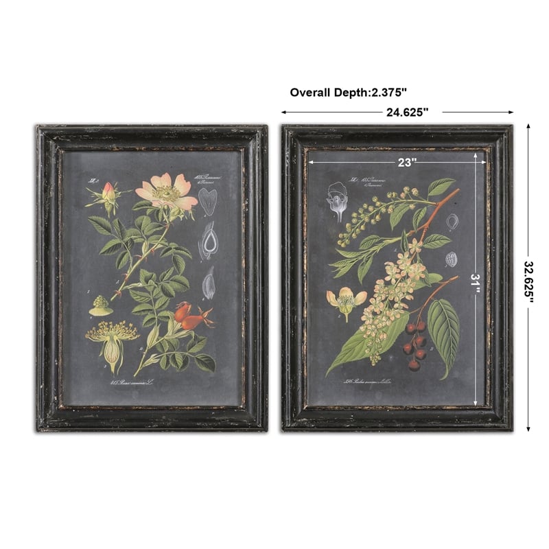 Uttermost Midnight Botanicals MDF Wood Wall Art in Multi-Color (Set of 2)