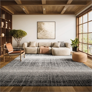Safavieh Adirondack 8' X 10' Power Loomed Rug in Silver and Black