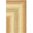Safavieh Braided 2' X 3' Hand Woven Polypropylene Rug in Rust