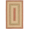 Safavieh Braided 2' X 3' Hand Woven Polypropylene Rug in Rust