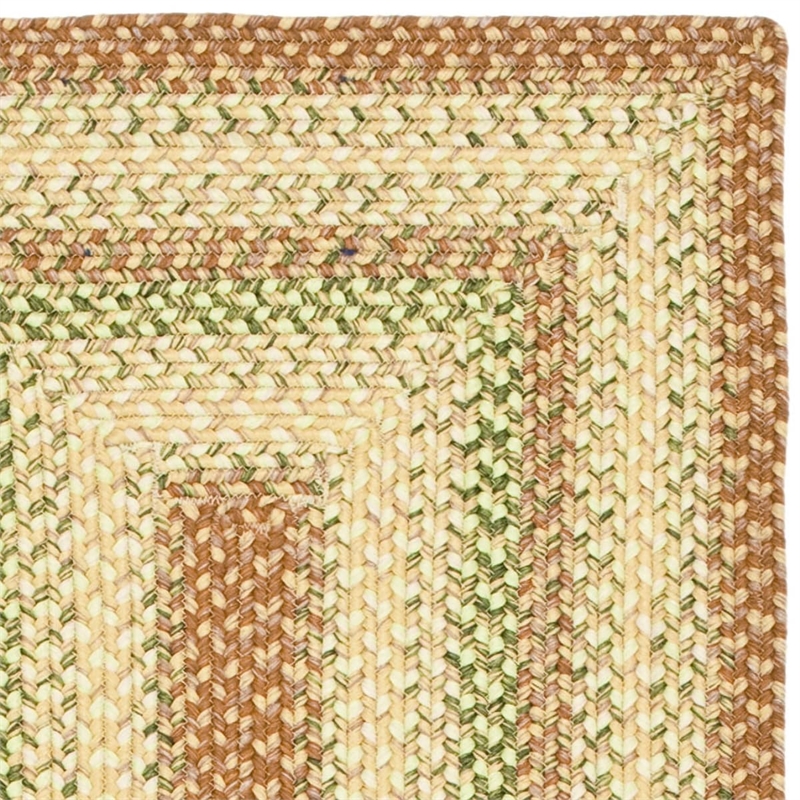 Safavieh Braided 2' X 3' Hand Woven Polypropylene Rug in Rust