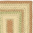 Safavieh Braided 2' X 3' Hand Woven Polypropylene Rug in Rust