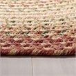 Safavieh Braided 4' Square Hand Woven Polypropylene Rug in Rust