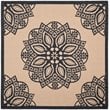 Safavieh Courtyard 9' X 12' Power Loomed Rug in Beige and Black