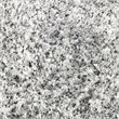 Safavieh Malibu Shag 5' Square Hand Tufted Rug in Silver