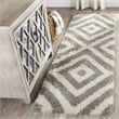 Safavieh Portofino Shag 4' X 6' Power Loomed Rug in Ivory and Gray