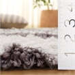 Safavieh Shag 4' X 6' Hand Tufted Acrylic Rug in Ivory and Gray
