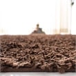 Safavieh Athens Shag 3' X 5' Power Loomed Polypropylene Rug in Brown