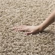 Safavieh Athens Shag 10' X 14' Power Loomed Polypropylene Rug in Beige