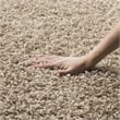 Safavieh Athens Shag 6' X 9' Power Loomed Polypropylene Rug in Beige