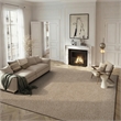 Safavieh Athens Shag 9' X 12' Power Loomed Polypropylene Rug in Beige