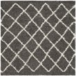 Safavieh Dallas Shag 6' X 9' Power Loomed Rug in Dark Gray and Ivory