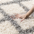 Safavieh Dallas Shag 10' X 14' Power Loomed Rug in Ivory and Gray