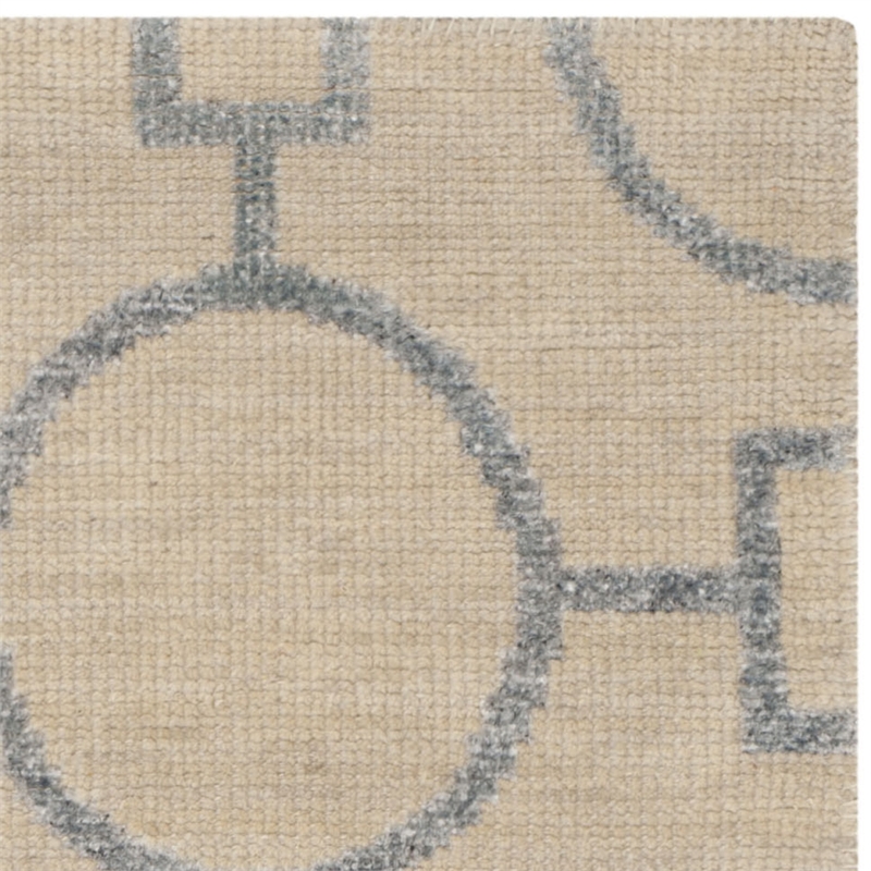Safavieh Stone Wash 6' X 9' Hand Knotted Rug in Beige