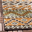 Safavieh Veranda 8' X 11'2