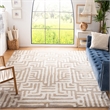 Safavieh Amsterdam 8' X 10' Rug in Ivory and Mauve
