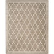 Safavieh Amherst 10' X 14' Rug in Wheat and Beige