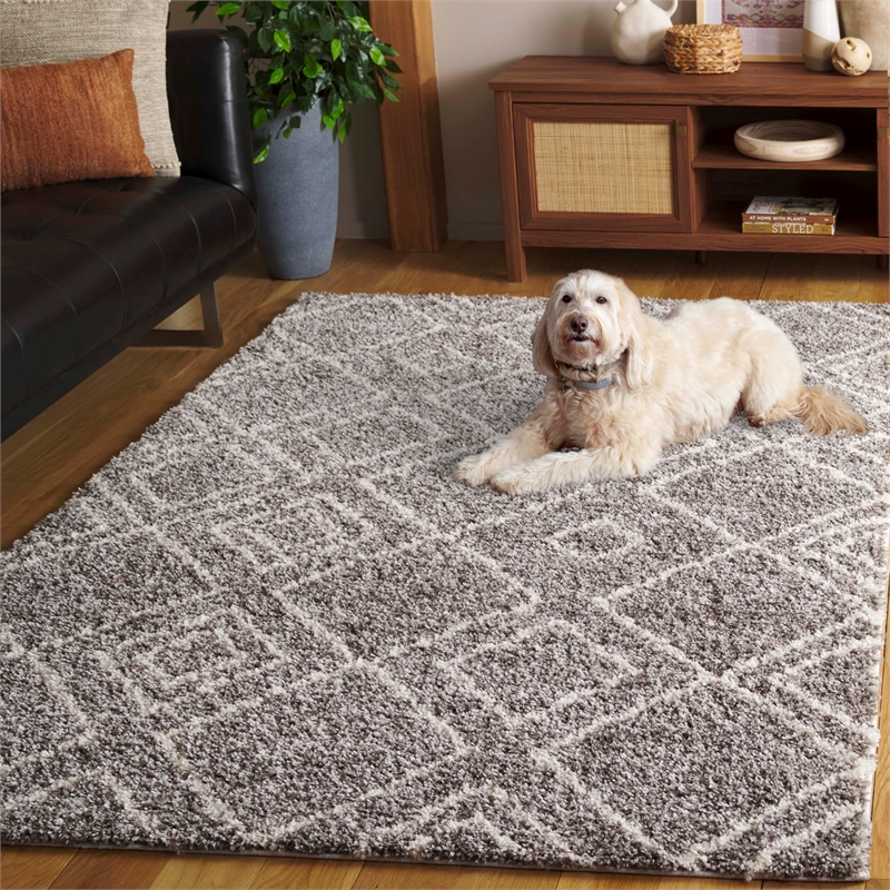 Safavieh Arizona Shag 4' X 6' Rug in Brown and Ivory