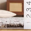 Safavieh Arizona Shag 8' X 10' Rug in Brown and Ivory