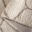 Safavieh Hudson Shag 8' X 10' Rug in Ivory and Beige