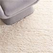 Safavieh Santa Monica Shag 4' X 6' Rug in Taupe