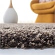 Safavieh Santa Monica Shag 4' X 6' Rug in Mushroom