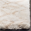 Safavieh Toronto Shag 8' X 10' Hand Tufted Rug in Ivory and Beige