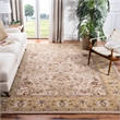 Safavieh Total Performance 6' X 9' Hand Hooked Rug in Ivory and Gold