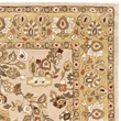 Safavieh Total Performance 6' X 9' Hand Hooked Rug in Ivory and Gold