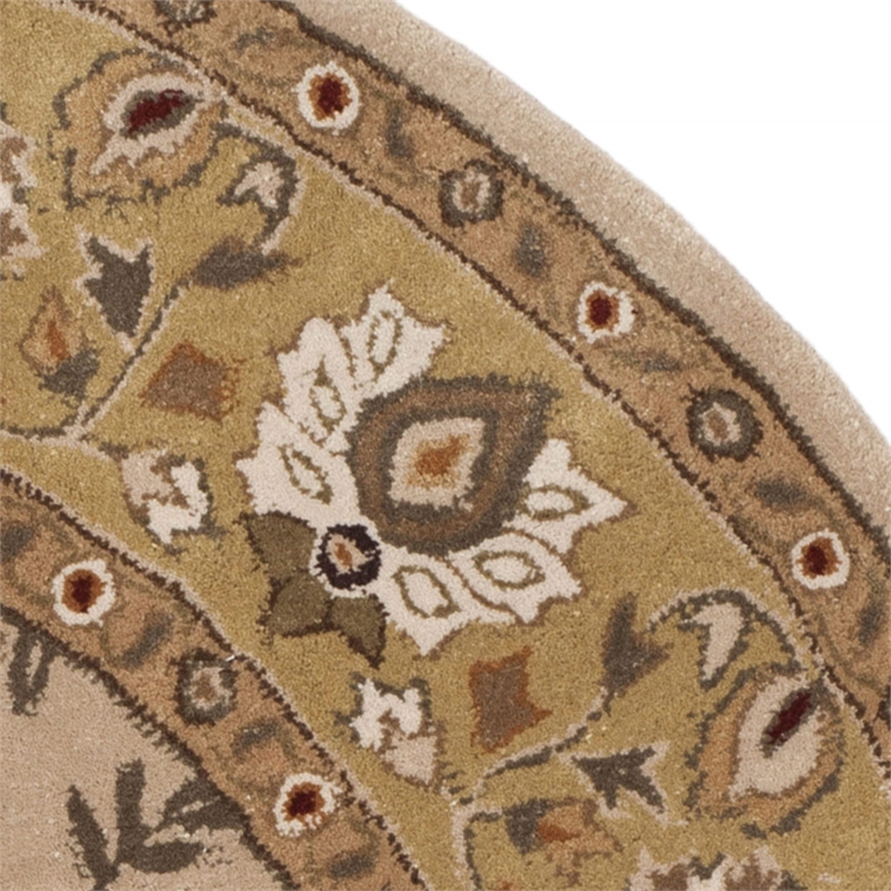 Safavieh Total Performance 6' X 6' Round Hand Hooked Rug