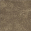 Safavieh Total Performance 6' X 9' Hand Hooked Rug in Olive and Ivory
