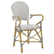 Safavieh Hooper Indoor-Outdoor Stacking Armchair in Black/White