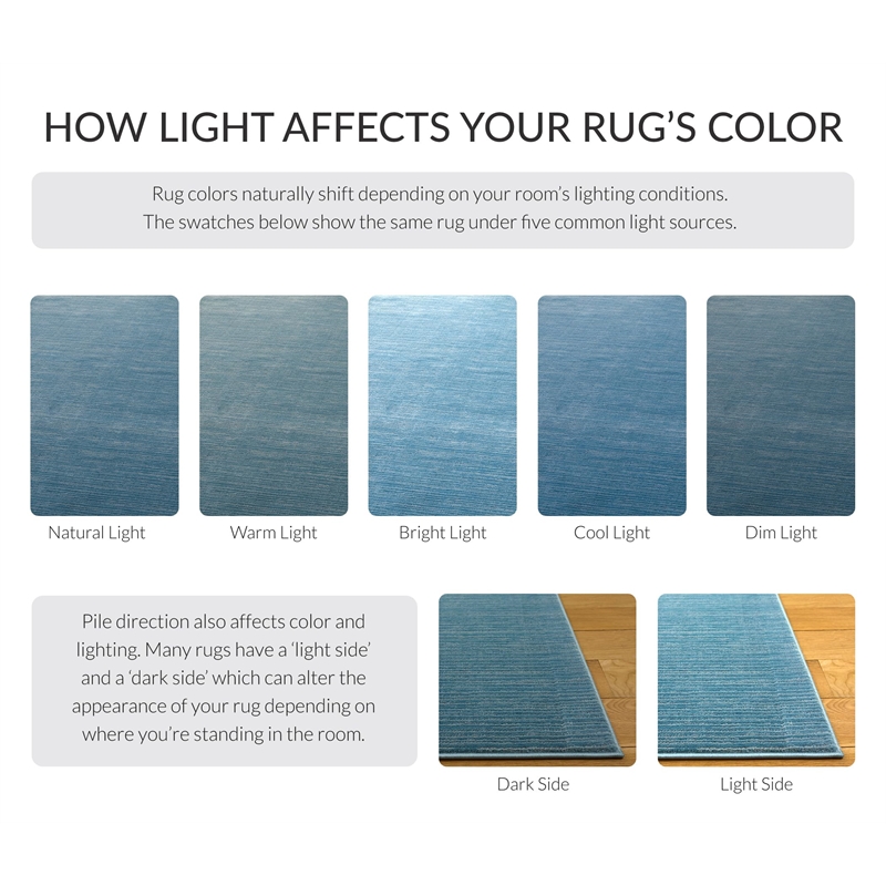 Safavieh Vision 12' x 18' Rug in Aqua