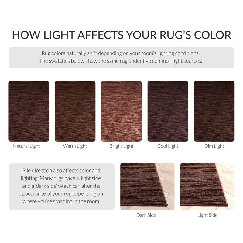 Safavieh Vision 11' x 15' Rug in Brown