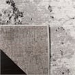 Safavieh Skyler 2' x 4' Rug in Gray and Ivory