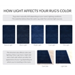 Safavieh Vision 9' x 12' Rug in Navy
