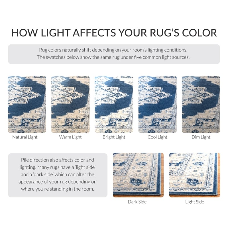 Safavieh Brentwood 9' x 12' Rug in Navy and Cream