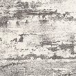 Safavieh Spirit 6'7