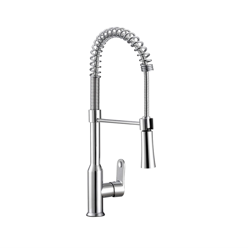 Safavieh Euphoria Kitchen Faucet in Chrome