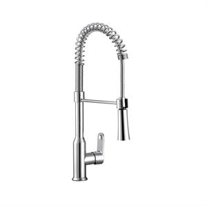 Safavieh Euphoria Kitchen Faucet in Chrome