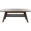 Safavieh Oren 2 Tier Coffee Table in Dark Walnut and Black