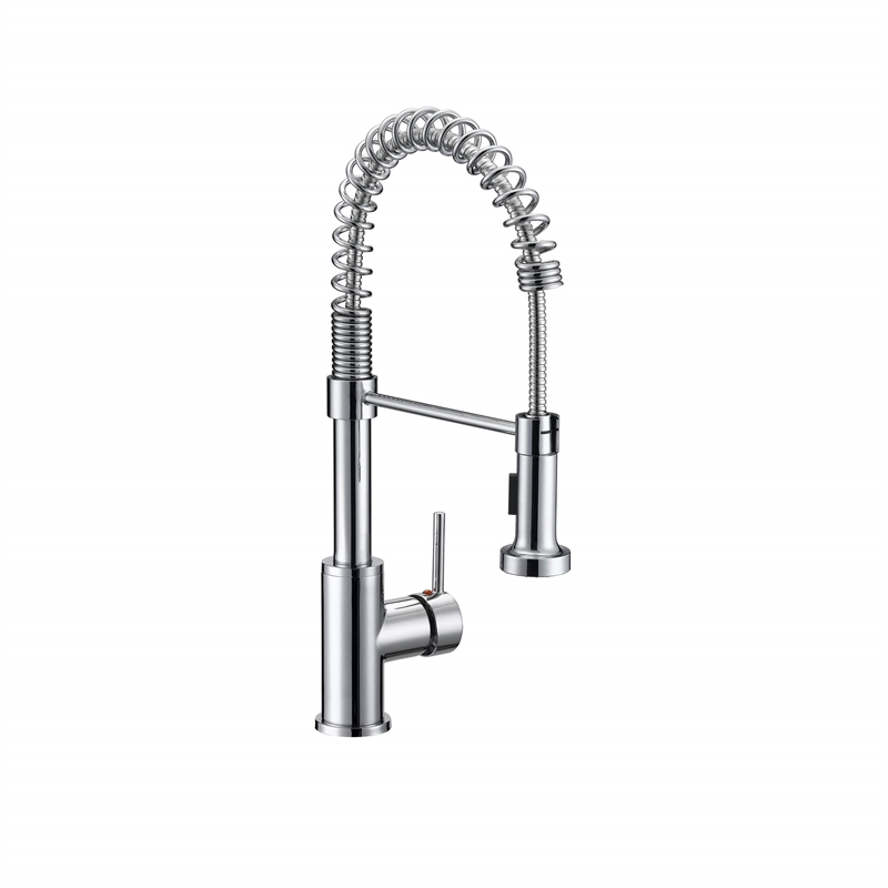 Safavieh Arcadia Kitchen Faucet in Chrome