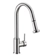 Safavieh Enchant Kitchen Faucet in Chrome