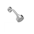 Safavieh Brighten Bathroom Shower Head in Chrome