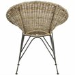 Safavieh Sierra Rattan Accent Chair in Gray Wash