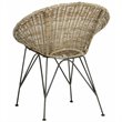 Safavieh Sierra Rattan Accent Chair in Gray Wash